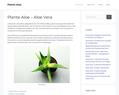248339 : Plante Aloe Vera